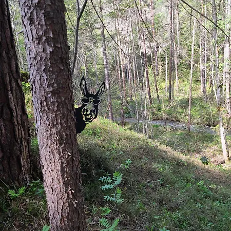 Hoamatgfuehl Mit Gartensauna - In Der Naehe Von Schladming Appartement *