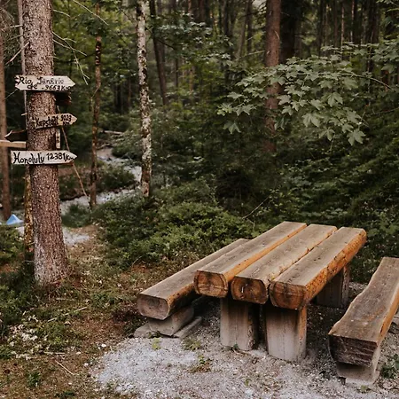 Appartement Hoamatgfuehl Mit Gartensauna - In Der Naehe Von Schladming