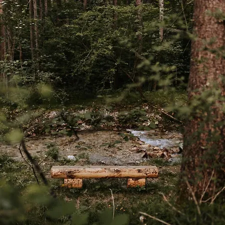 Hoamatgfuehl Mit Gartensauna - In Der Naehe Von Schladming