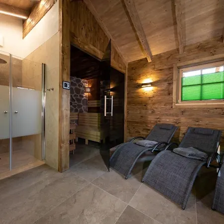 Apartment Hoamatgfuehl Mit Gartensauna - In Der Naehe Von Schladming